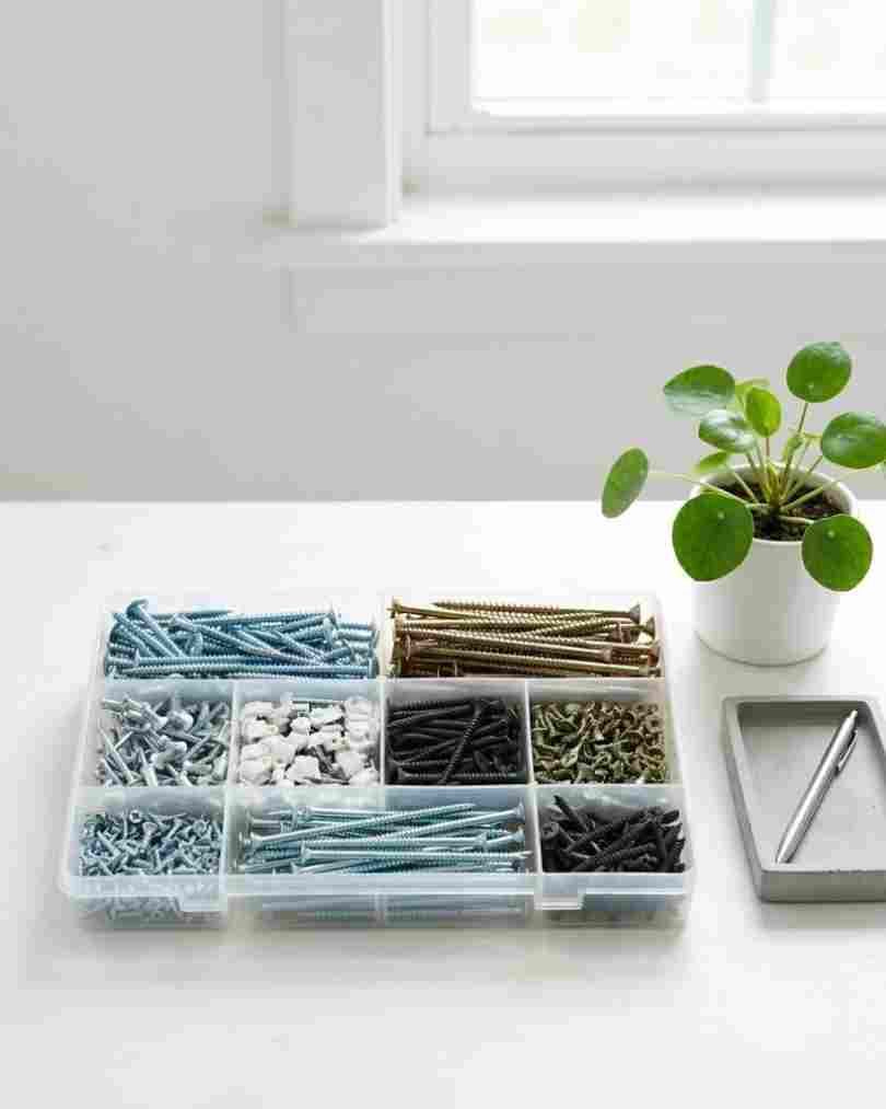 Assorted Screw and Anchor Set
